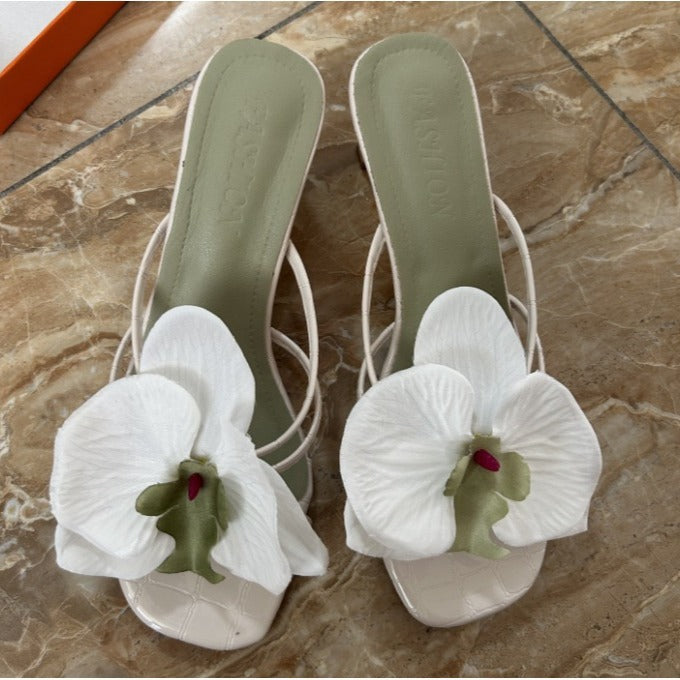 47c0866b1eb6d0f191890ff18b2a5264